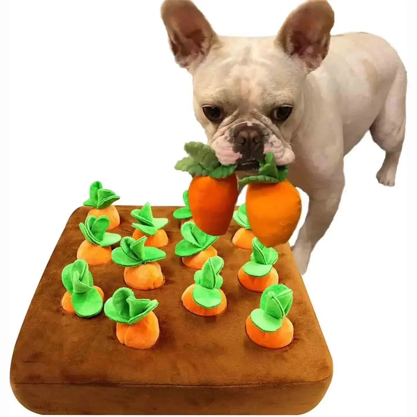 Carrot Farm Interactive Plush Dog Toy Petritzy